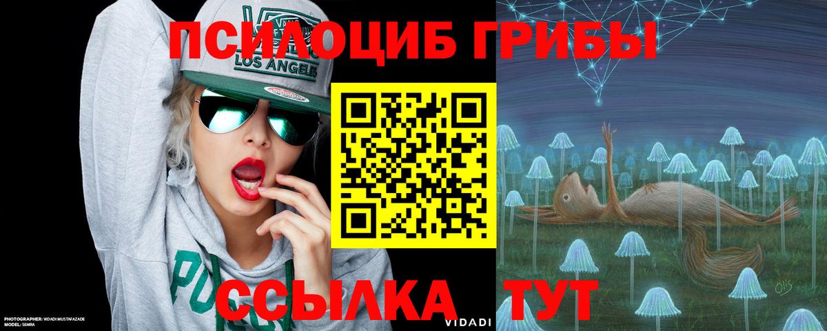 Славянск-на-Кубани  Галлюциногенные грибы Cubensis  Вход с VPN 